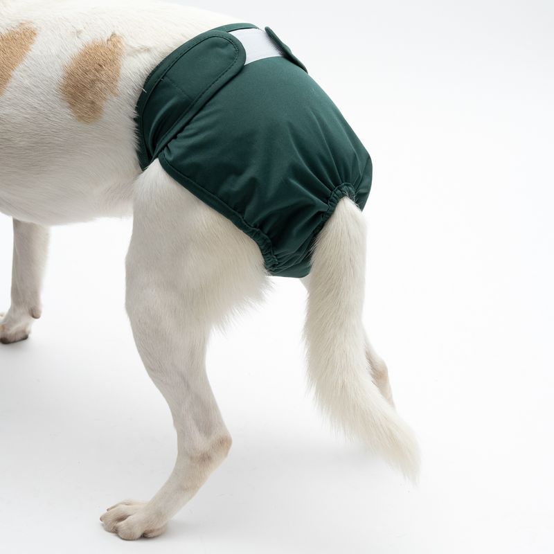 zooplus kooa Waschbare Windel für Hündinnen kaufen Osterangebot