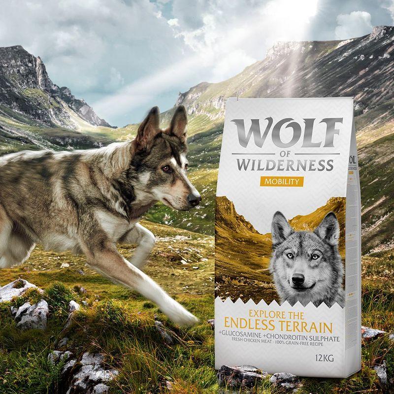 zooplus Wolf of Wilderness Explore The Endless Terrain Mobility - getreidefrei kaufen Große Rabatte