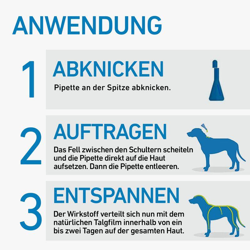 zooplus Frontline® Spot on Hund S kaufen Kauf eins, bekomm eins gratis