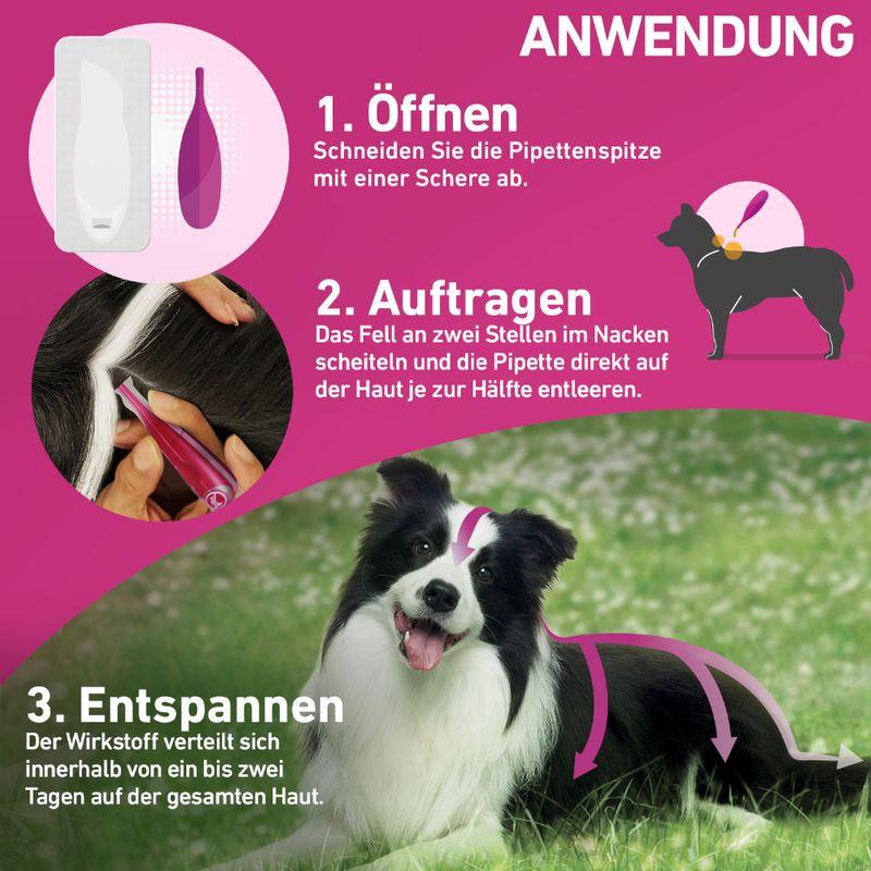 zooplus Frontline® TRI-ACT Hunde L (20 - 40 kg) kaufen Riesige Ersparnisse