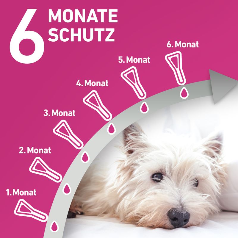 zooplus Frontline® TRI-ACT Hunde L (20 - 40 kg) kaufen Riesige Ersparnisse
