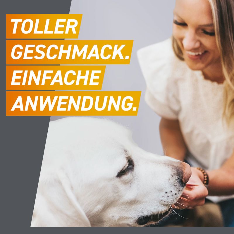 zooplus Frontpro Kautablette gegen Zecken und Flöhe für Hunde >25 bis 50 kg kaufen Tiefpreis