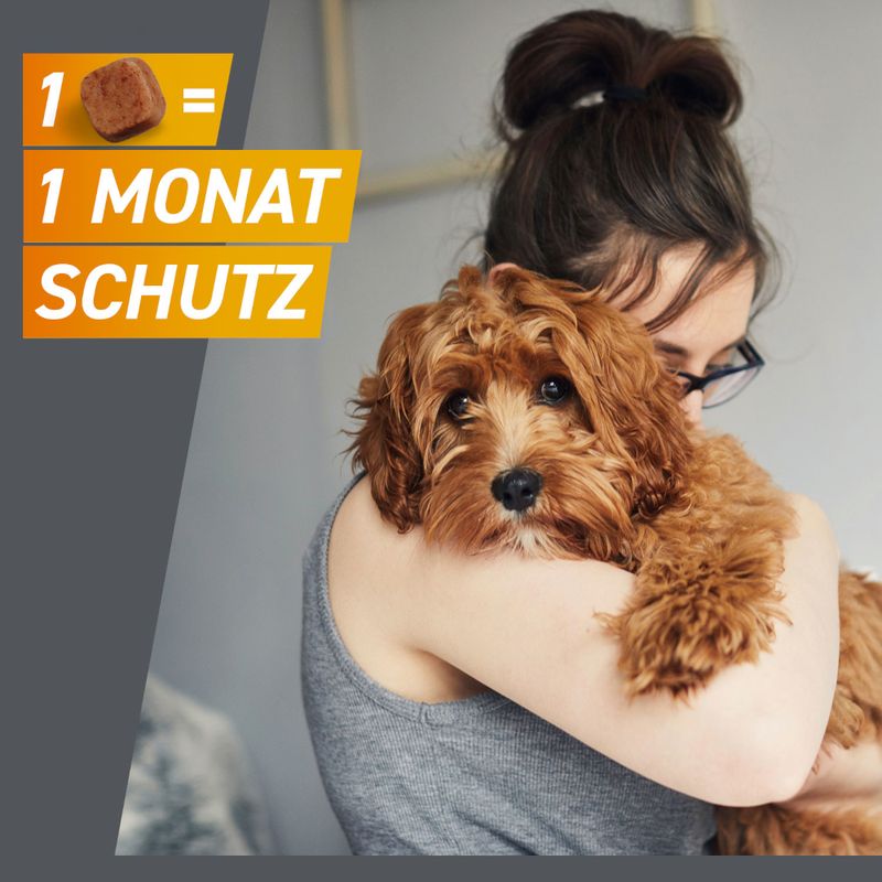 zooplus Frontpro Kautablette gegen Zecken und Flöhe für Hunde >10 bis 25 kg kaufen Wochenangebot