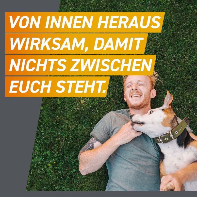 zooplus Frontpro Kautablette gegen Zecken und Flöhe für Hunde >10 bis 25 kg kaufen Wochenangebot