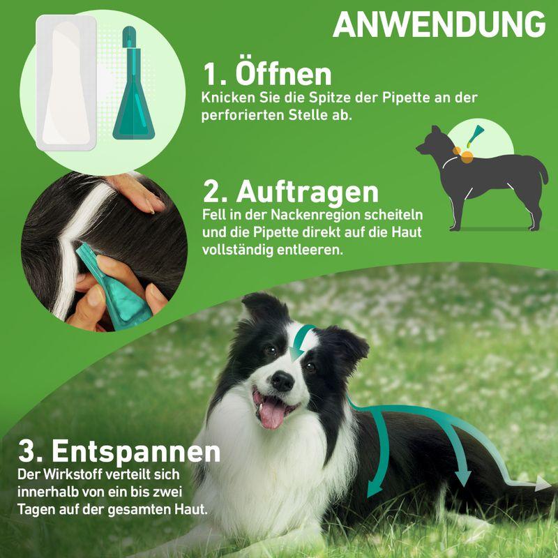 zooplus Frontline® Combo Spot-on Hund M (10 - 20 kg) kaufen Letzte 3 Tage
