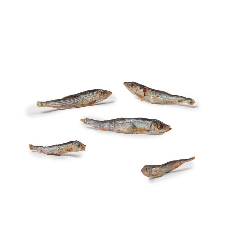 zooplus Dibo Trockenfisch kaufen Super Rabatt