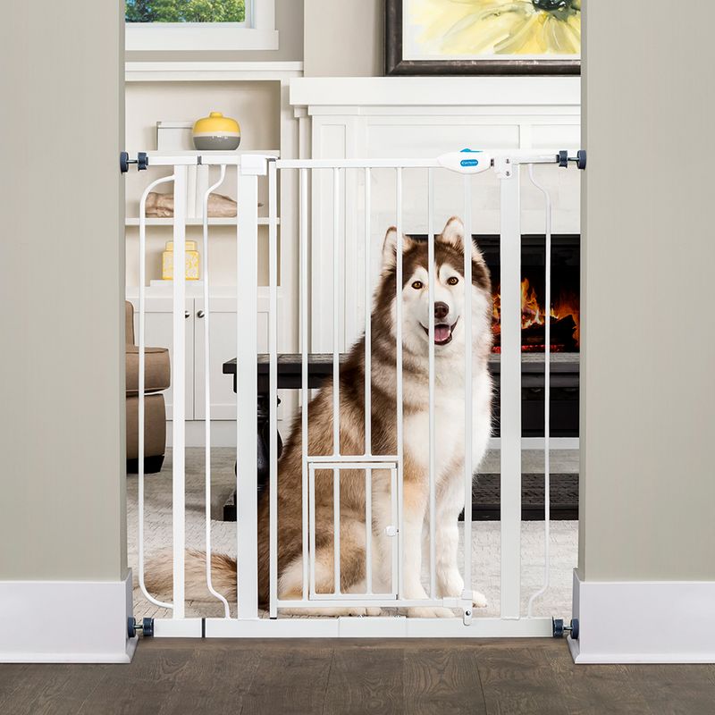 zooplus Carlson Absperrgitter Pet Gate extra hoch mit Katzentür kaufen