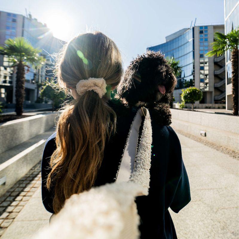 zooplus TIAKI Sherpa: Halsband Leine Scrunchie kaufen Black Friday