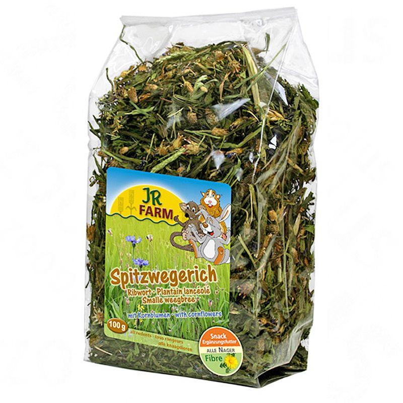 zooplus Doppelpack JR Farm Raufutter kaufen Neueste Stile
