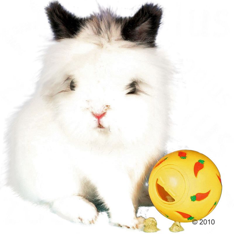 zooplus Trixie Snacky Futterball kaufen Verkauf