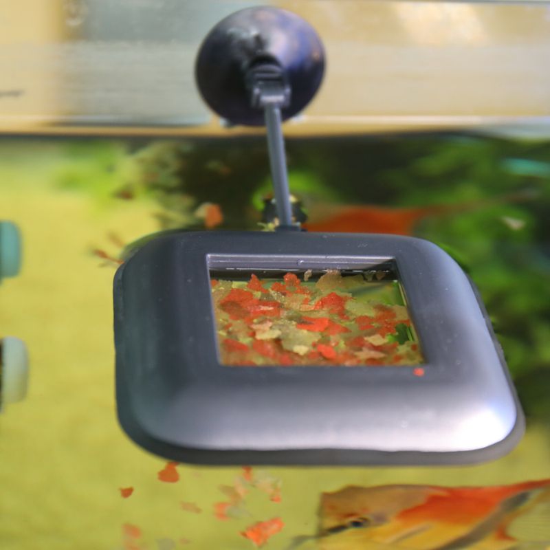 zooplus JBL NovoStation kaufen Bis zu 55% Rabatt