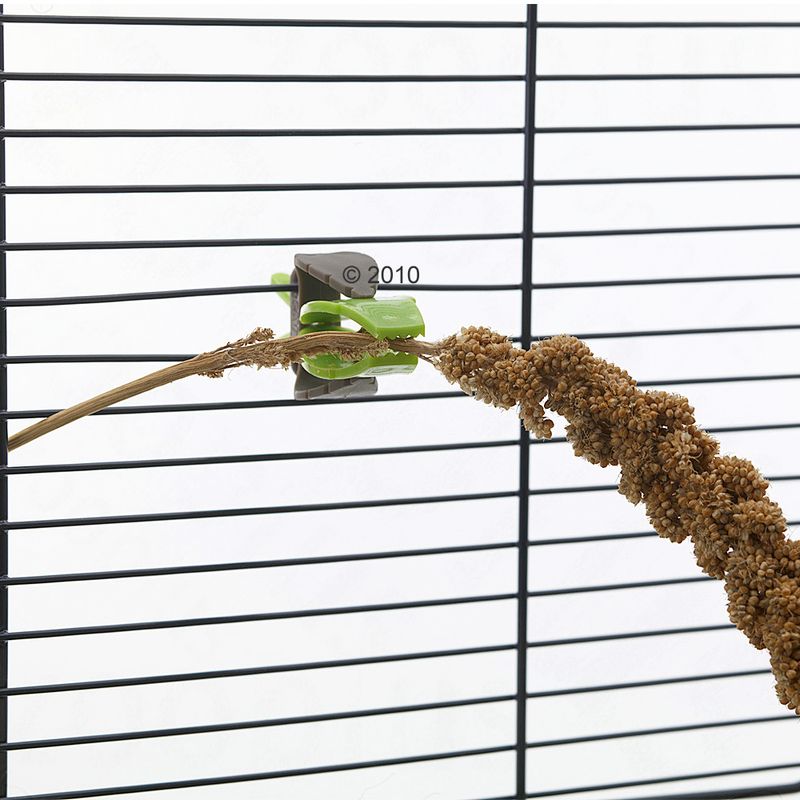 zooplus JR Farm Kolbenhirse gelb kaufen Schlussverkauf