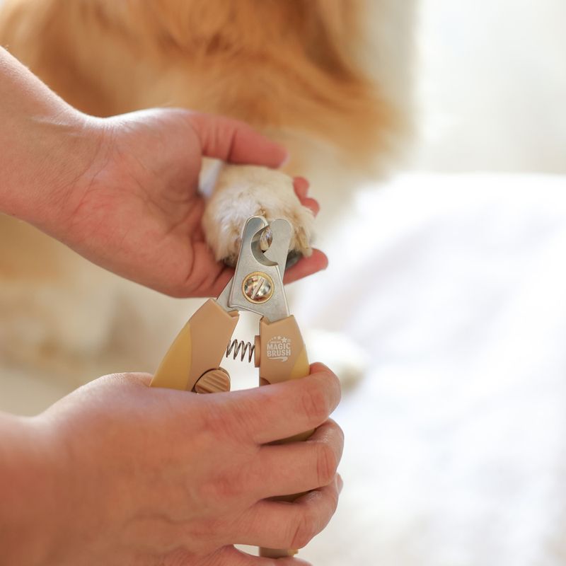 zooplus Magic Brush Krallenschneider kaufen Clearance-Verkauf