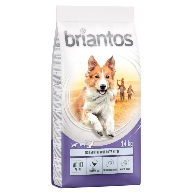 zooplus Briantos Adult Active kaufen