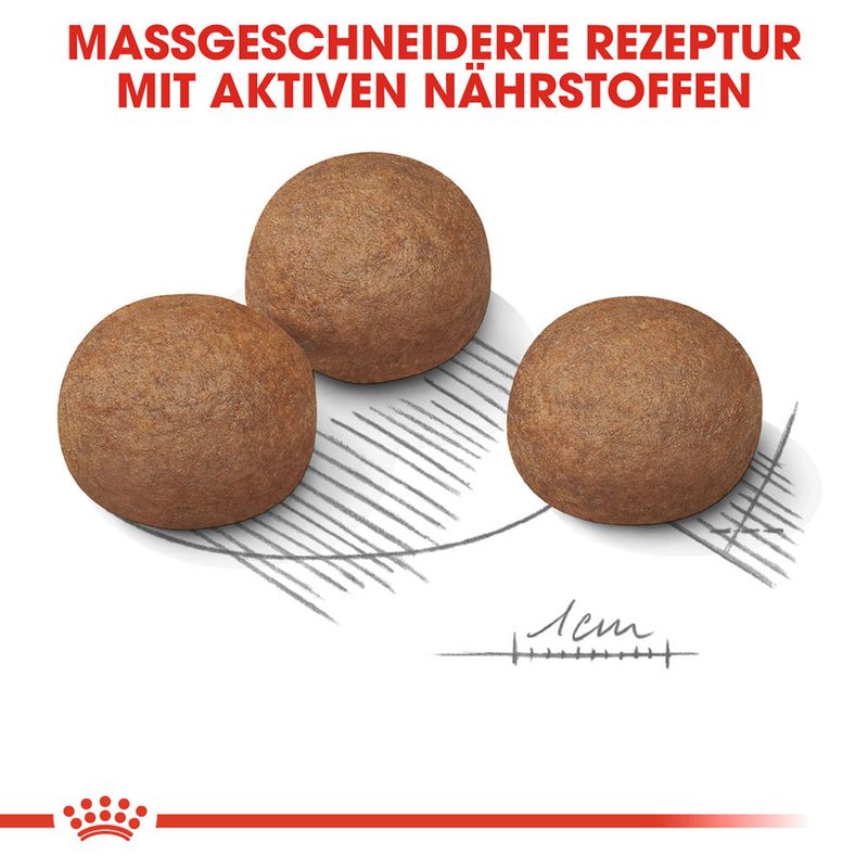 zooplus Royal Canin Maxi Digestive Care kaufen Auslauf
