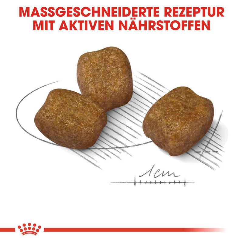 zooplus Royal Canin Mini Dental Care kaufen Verkauf