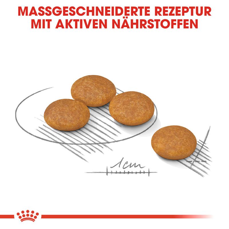 zooplus Royal Canin Mini Dermacomfort kaufen Hotsell
