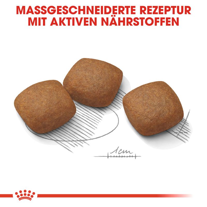 zooplus Royal Canin Maxi Joint Care kaufen Schlussverkauf