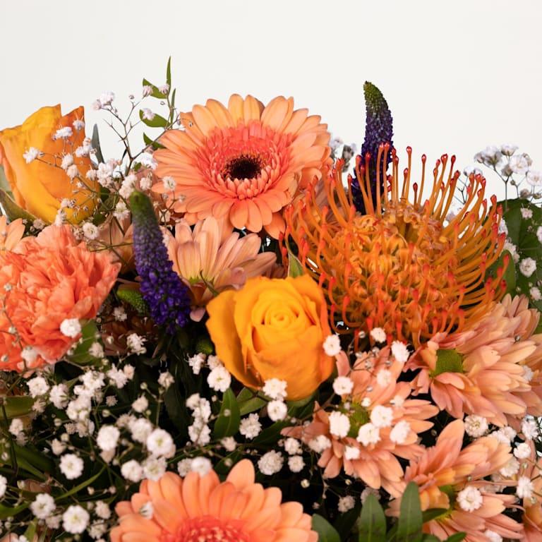 ﻿blume2000 Happy Birthday Riesige Rabatte