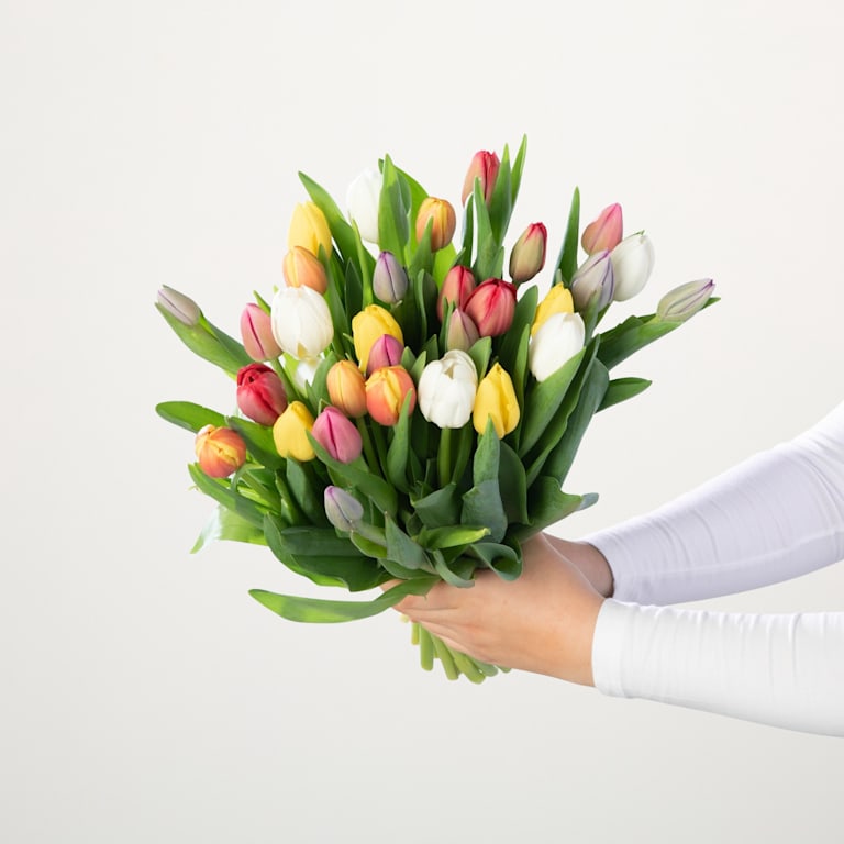 blume2000 Bunte Tulpen - 30 Stiele zollfrei