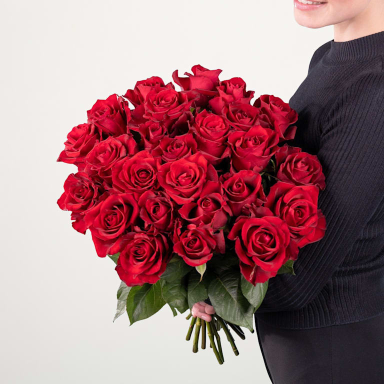 blume2000 Rote Premium-Rosen - 25 Stiele Angebote