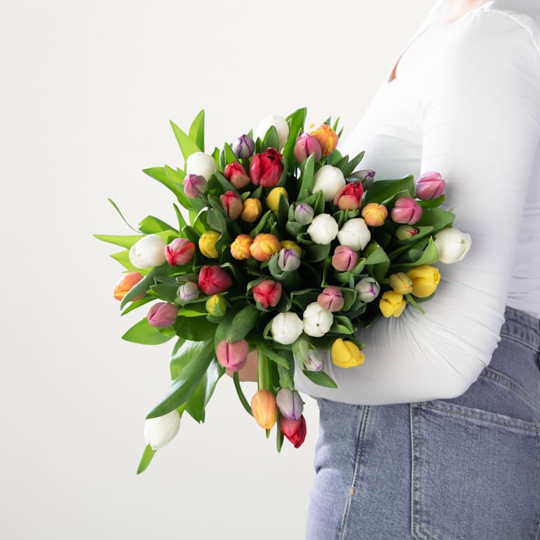 blume2000 Bunte Tulpen - 50 Stiele Hotsell