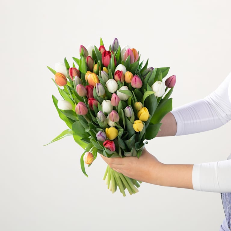 blume2000 Bunte Tulpen - 50 Stiele Hotsell