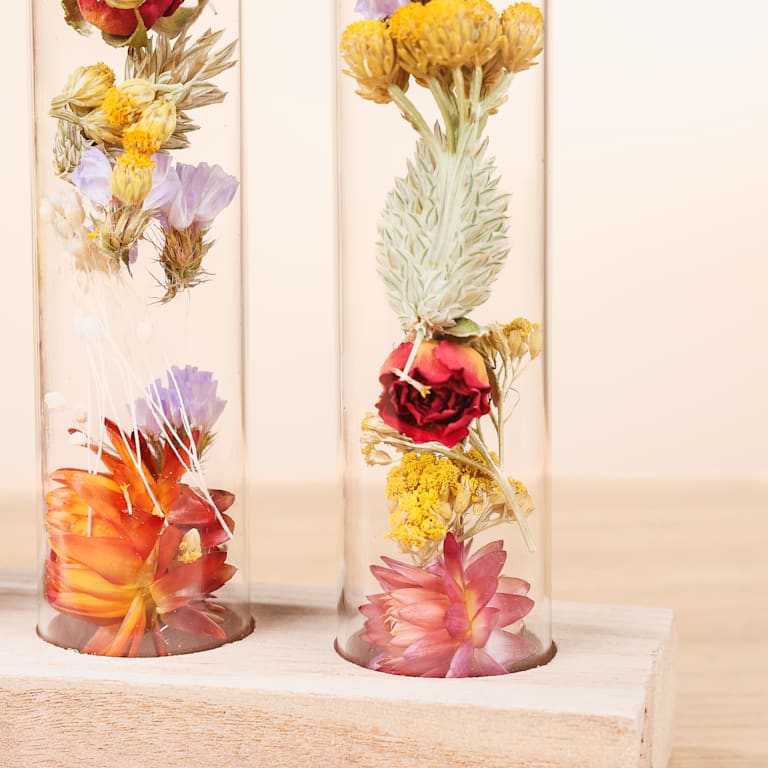 blume2000 Trockenblumen im Set Little Wish Blitzverkäufe