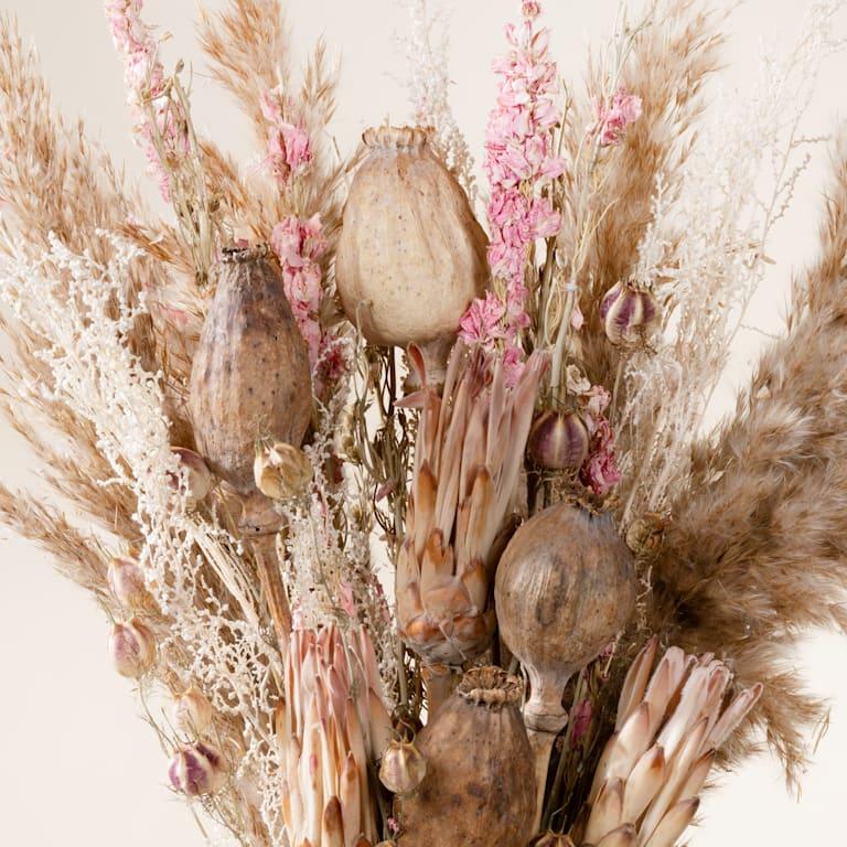 blume2000 Trockenblumenstrauß Pastell Boho Heißer Verkauf