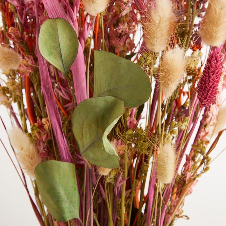 blume2000 Trockenblumenstrauß Rosy Eucalyptus Online Outlet