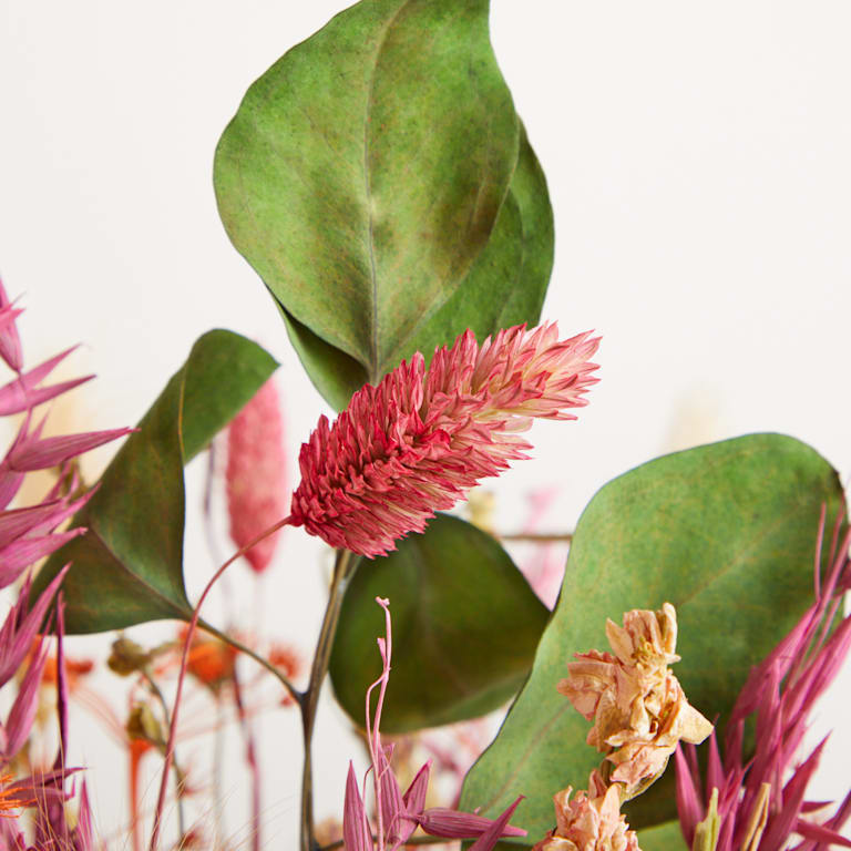 blume2000 Trockenblumenstrauß Rosy Eucalyptus Online Outlet
