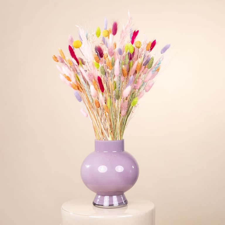 blume2000 Trockenblumenstrauß Color Crush Blitzangebot