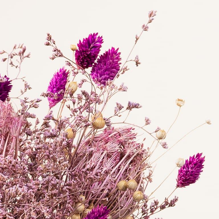 blume2000 Trockenblumenstrauß Lovely Pink Kauf eins, bekomm eins gratis