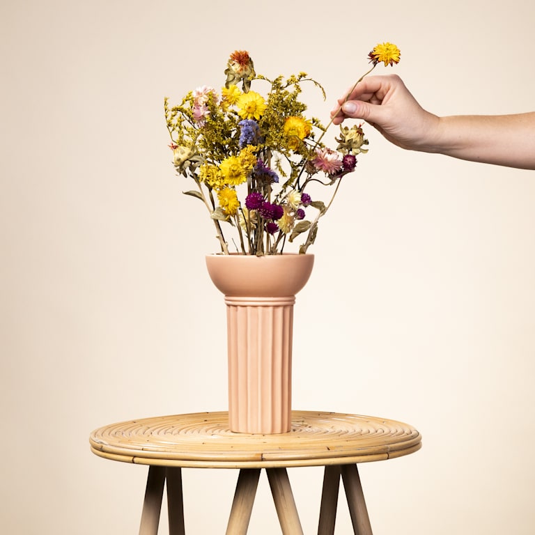 blume2000 Trockenblumenstrauß Bunt Sonderangebote