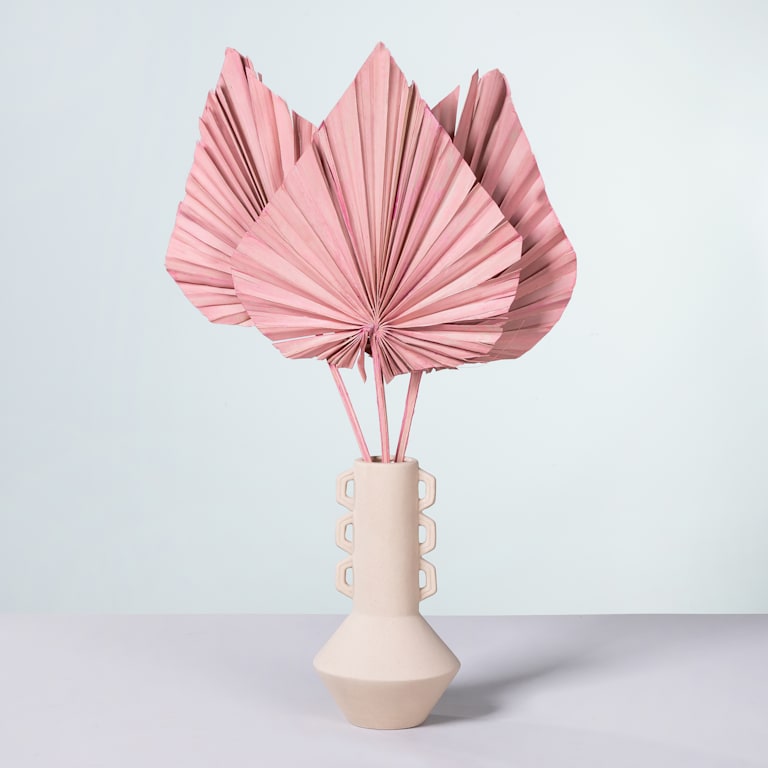 blume2000 Trockenblumenbund Palm Spear Rosa VIP-Rabatte
