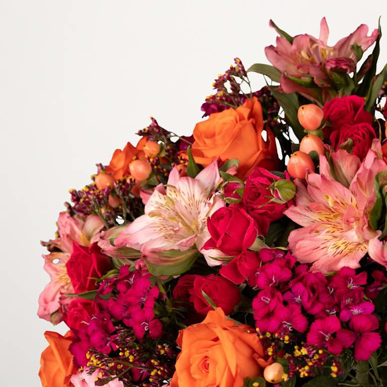 blume2000 Pink Perfection Neueste Stile
