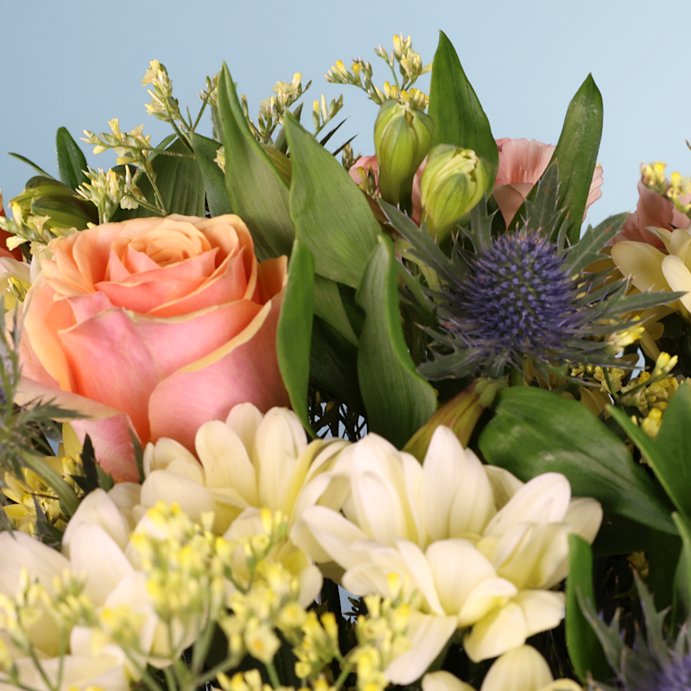 blume2000 Sonnenkuss Bis zu 60% Rabatt