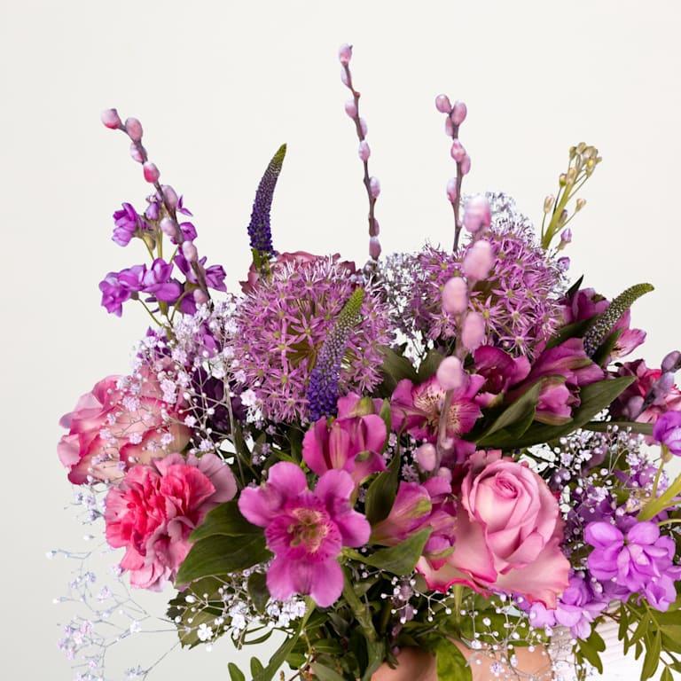 blume2000 Violet Surprise Sonderangebot der Fabrik
