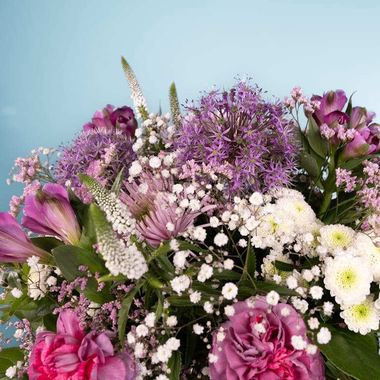 blume2000 Frühlingszauber Super Rabatt