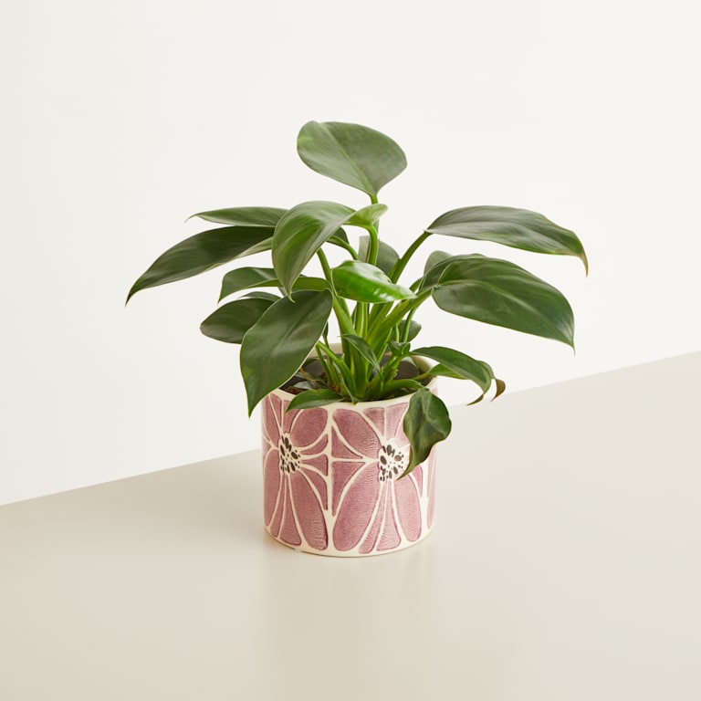 blume2000 Keramik Übertopf Blume Lila - 12 cm