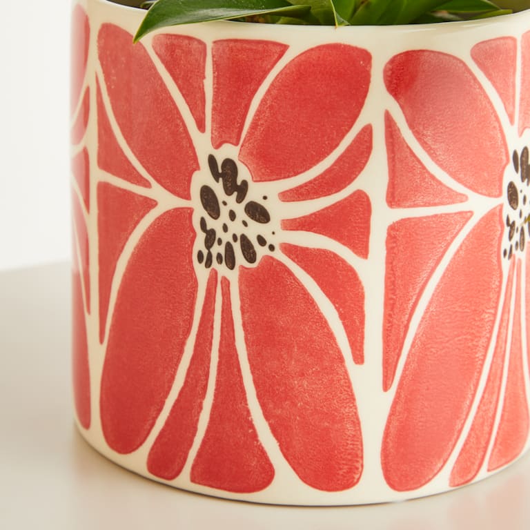 blume2000 Keramik Übertopf Blume Rot - 12 cm Im Verkauf