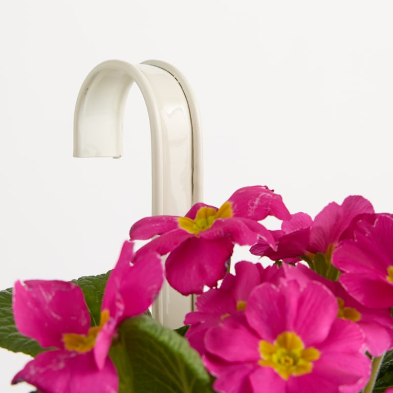 blume2000 Metall Balkonkasten Rille Creme Groß Online