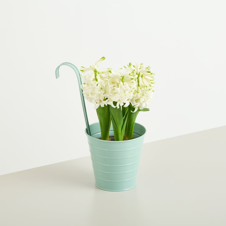 blume2000 Metall Hängetopf Grün - 13 cm im Angebot