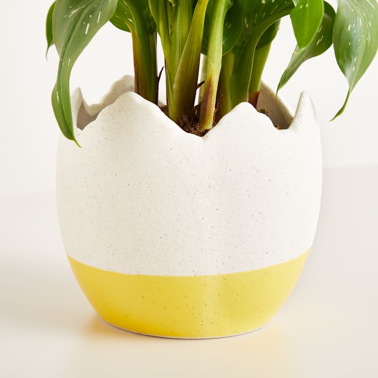 blume2000 Keramik Übertopf Ei Gelb - 10 5 cm Neueste Mode