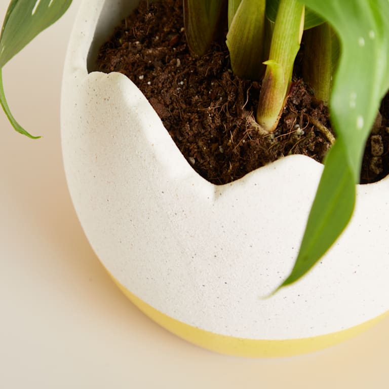 blume2000 Keramik Übertopf Ei Gelb - 10 5 cm Neueste Mode