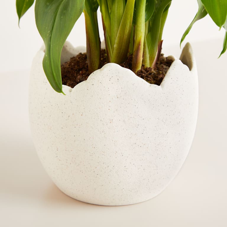 blume2000 Keramik Übertopf Ei Sand - 10 5 cm Online Outlet