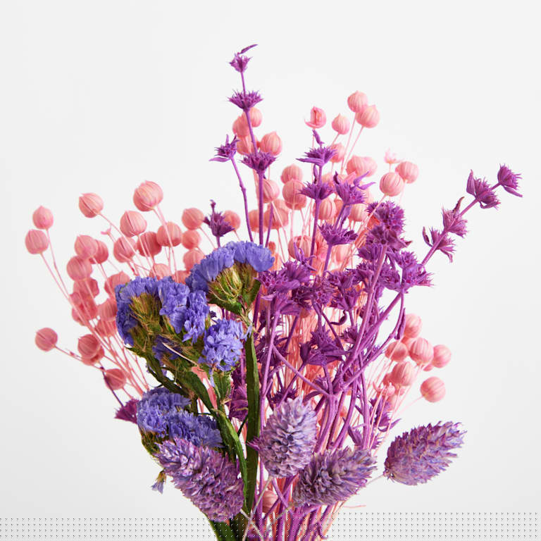 blume2000 Trockenblumenbund Pink Bestseller
