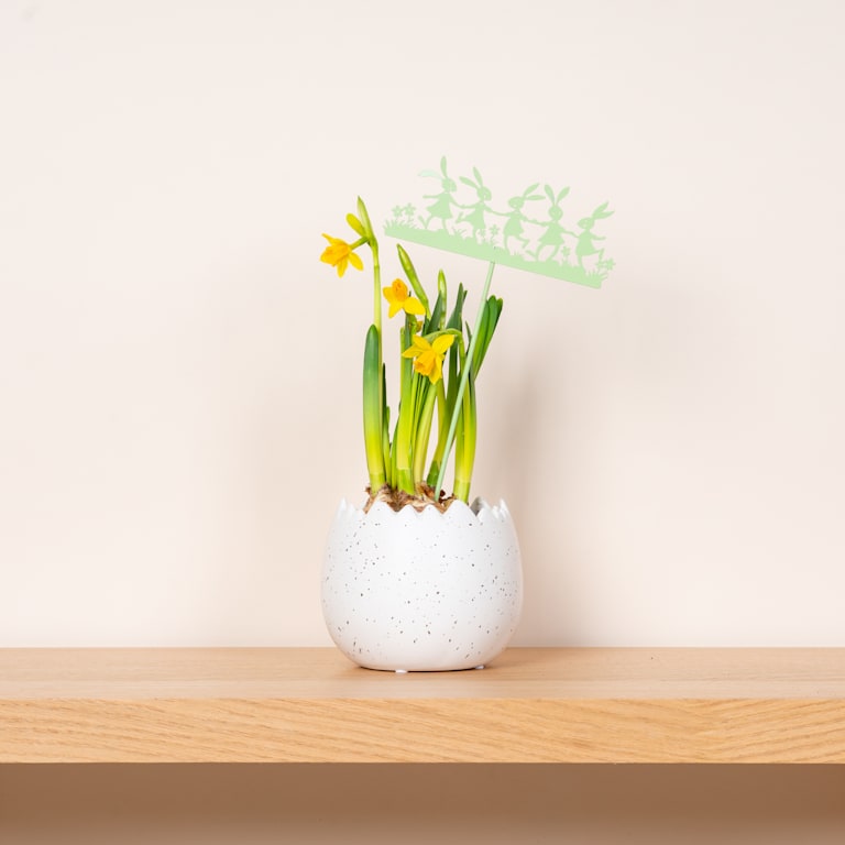 blume2000 Metall Stecker Hasenparty Mint Letzte 3 Tage