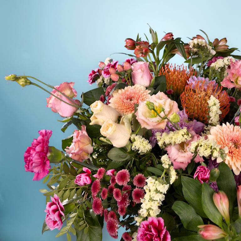 blume2000 Blütenzauber Deluxe Riesige Rabatte