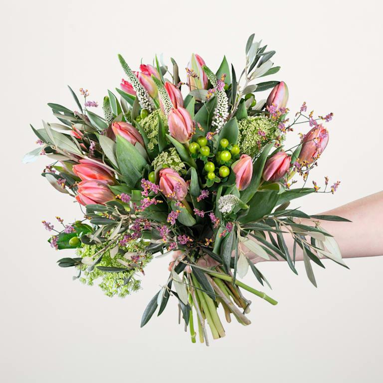 blume2000 Tulip Crush Clearance-Verkauf